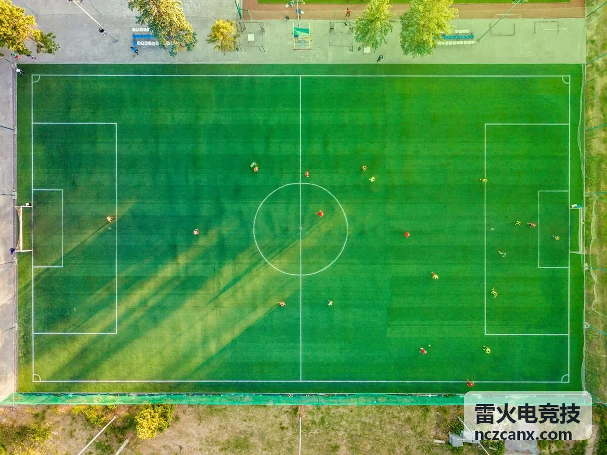 雷火电竞技案例
