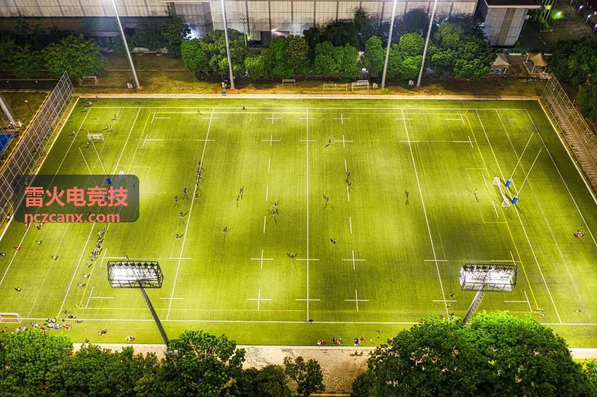 雷火电竞技案例